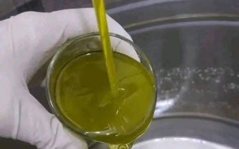 زيتٌ بطعم الخسارة… موسم الجنوب بين نيران الاحتلال وغلاء “التنكة” زيتٌ بطعم الخسارة… موسم الجنوب بين نيران الاحتلال وغلاء “التنكة”