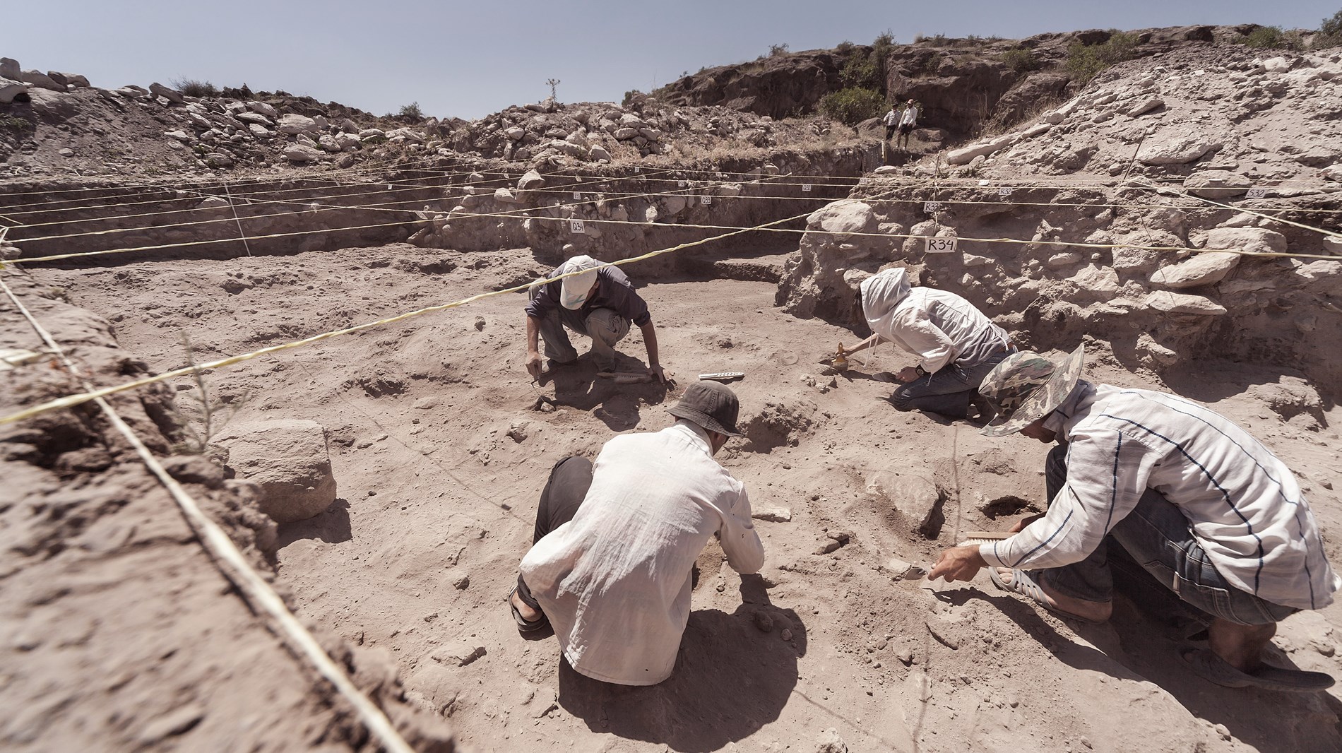 ما الكنز الذهبي الذي عثرت عليه بعثة تنقيب في مصر بالصدفة؟