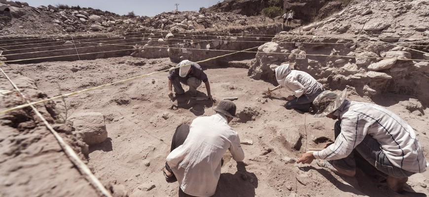 ما الكنز الذهبي الذي عثرت عليه بعثة تنقيب في مصر بالصدفة؟
