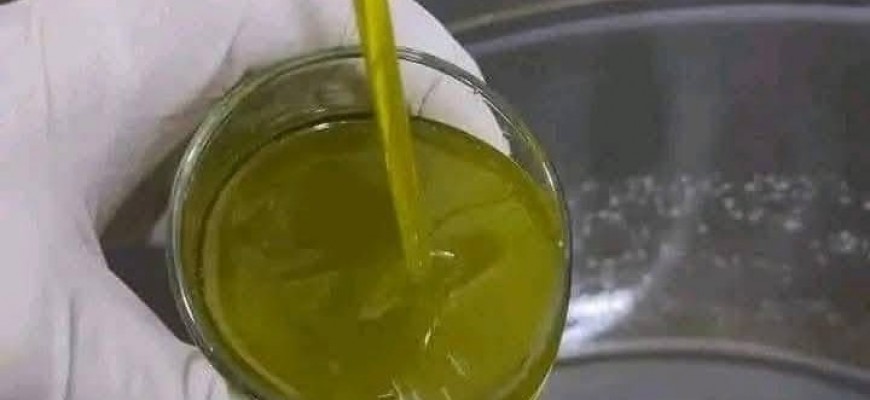 زيتٌ بطعم الخسارة… موسم الجنوب بين نيران الاحتلال وغلاء “التنكة” زيتٌ بطعم الخسارة… موسم الجنوب بين نيران الاحتلال وغلاء “التنكة”